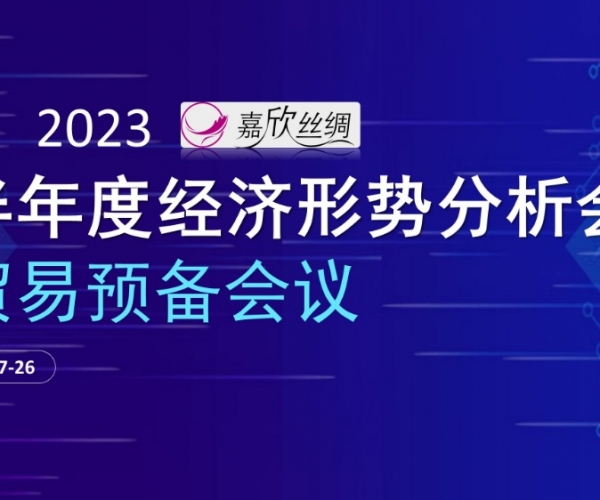 业务总额不变，业务质量提升 东升国际丝绸召开2023半年度经济局势分析会业务预备会议